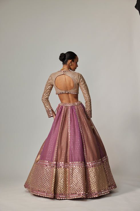 Mud Mauve Multicolor Chita Sequin Scattered Lehenga Set With V Neck Full Sleeves